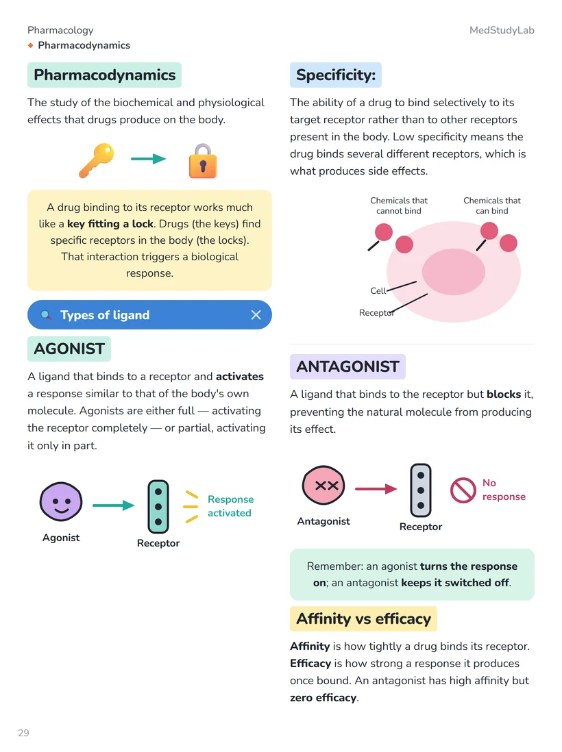 Sample page: visual study diagram